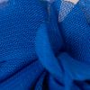 Bleu roi