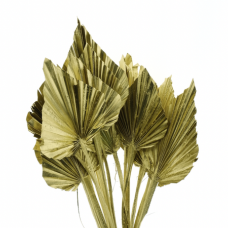 palm spear gold