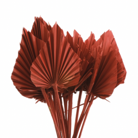 feuille de palme rouge
