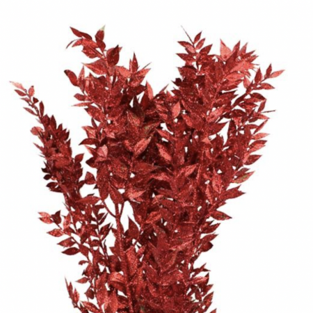 Ruscus pailleté rouge