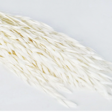 avoine blanc